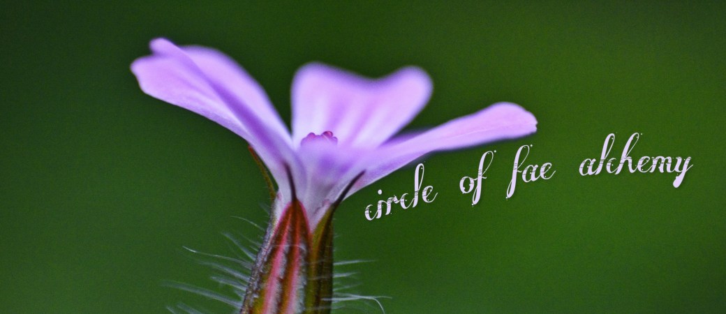 PicsArt_11-20-02.24.00