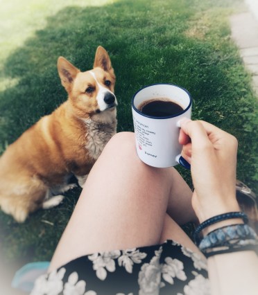 96017503_264571034683932_961221158382862336_n-01